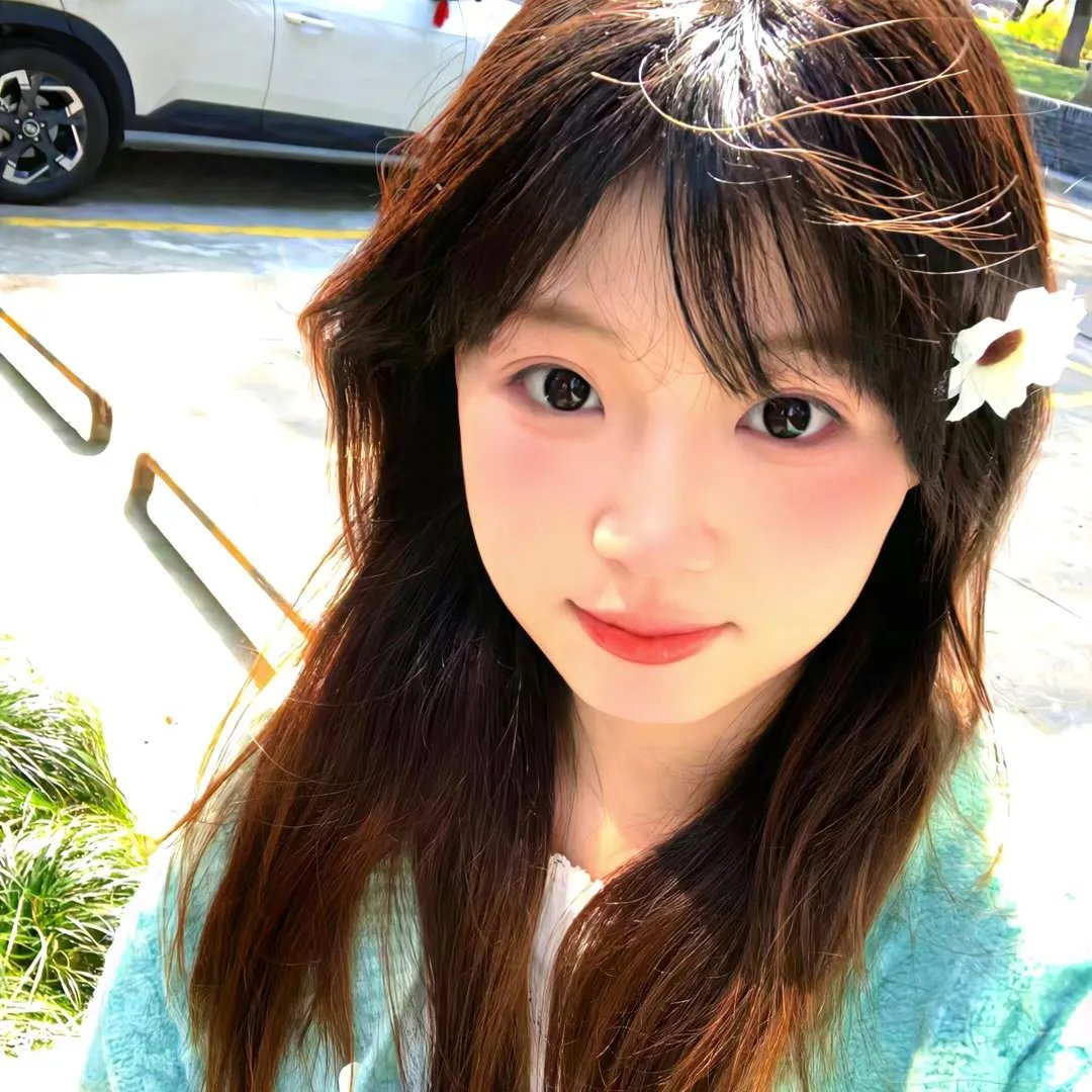 冲绳小芙蓉