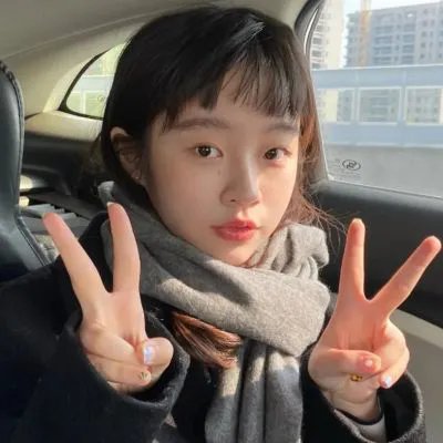 狐狸捕手